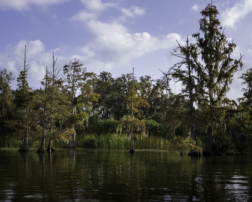 Фотография автора Ray Asiala