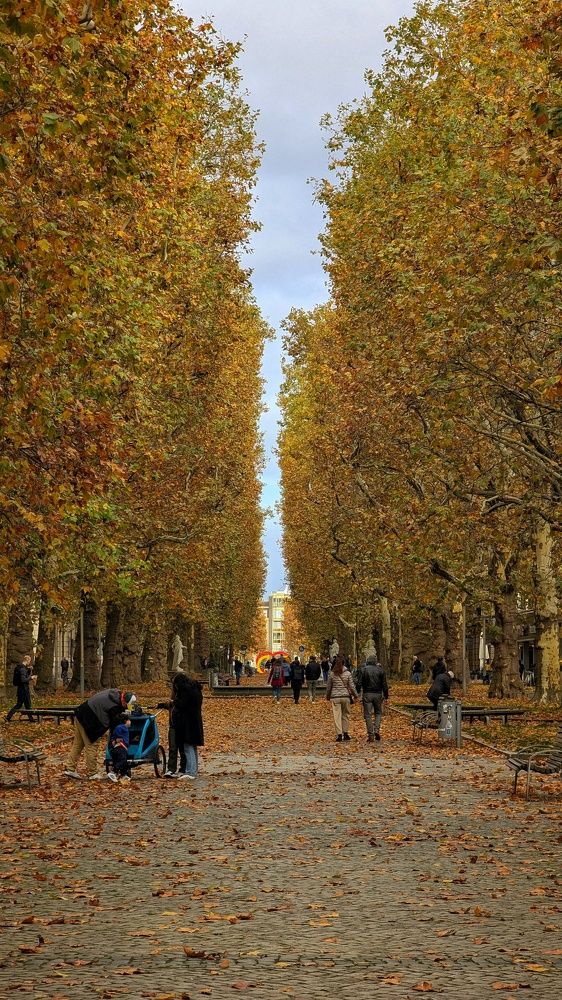 Фотография автора Helen Omelskaya