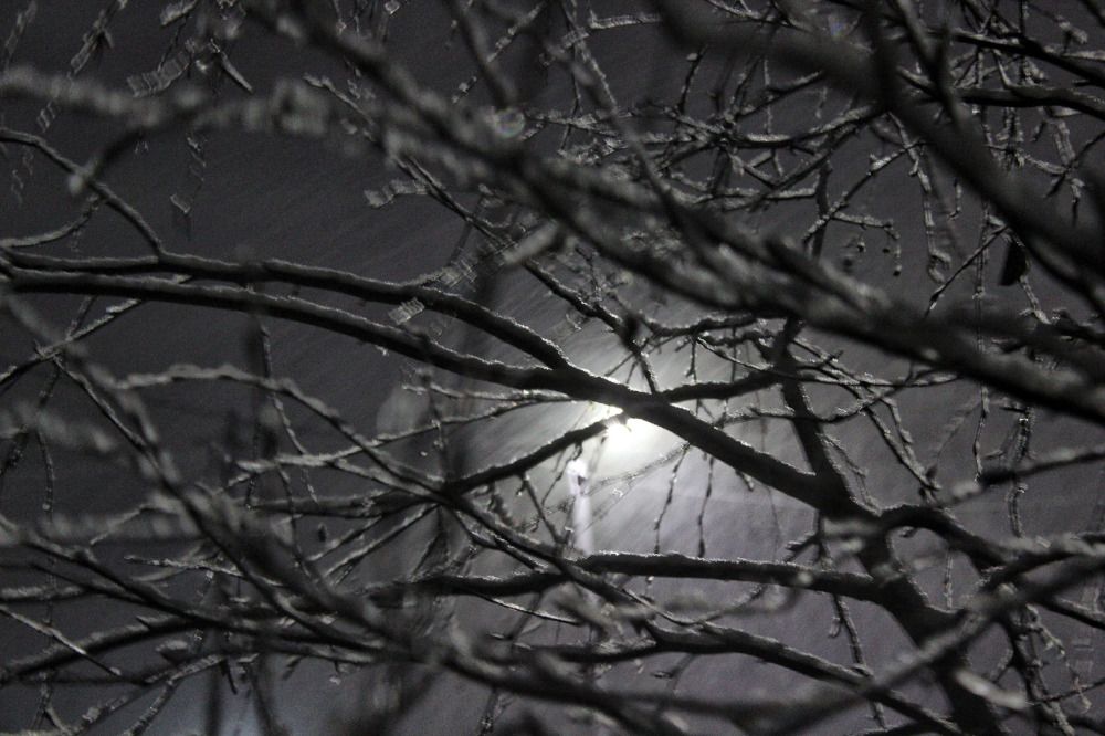 Photograph by Анна