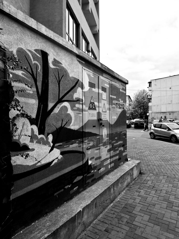 Фотография автора Ana Maria Monica Dragan