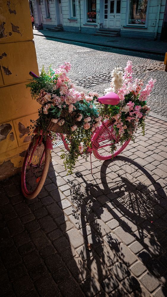 Photograph by Наталия