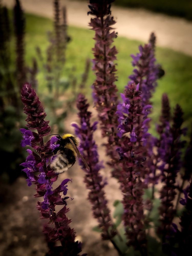 Photograph by Наталия