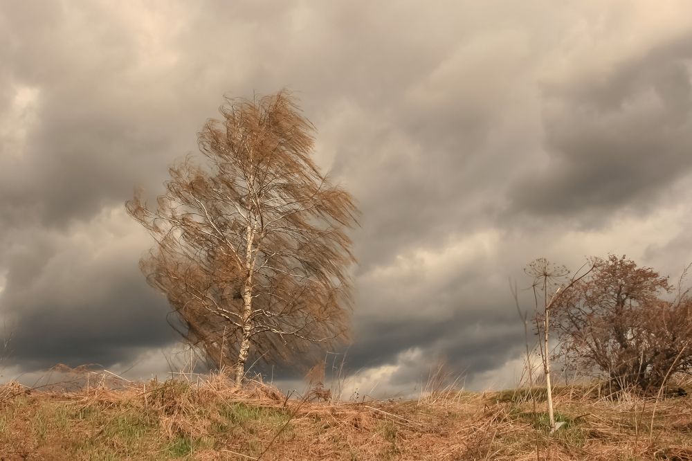 Photograph by Наталья Колеватова