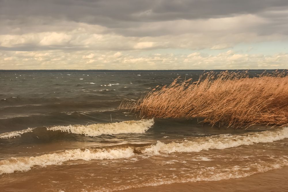 Photograph by Наталья Колеватова