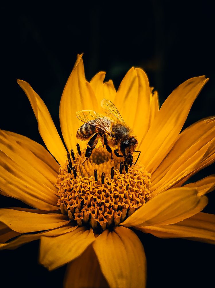 Фотография автора Margarita Naumchyk