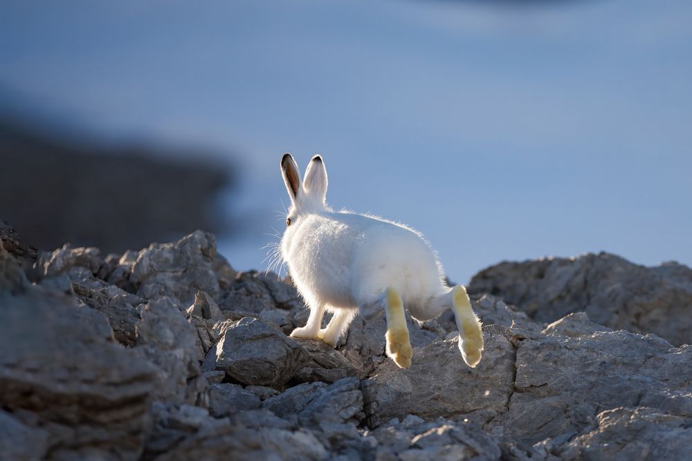 Photograph by Marco Rondi