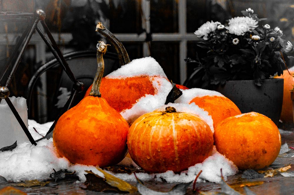 Photograph by Елена Барышева