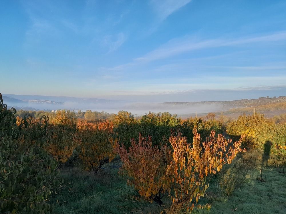 Photograph by Татьяна Ситникова