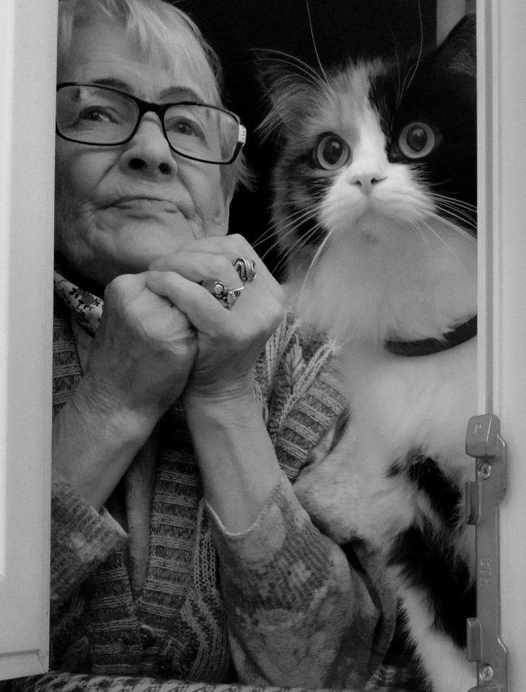 Photograph by Михаил Мостовой