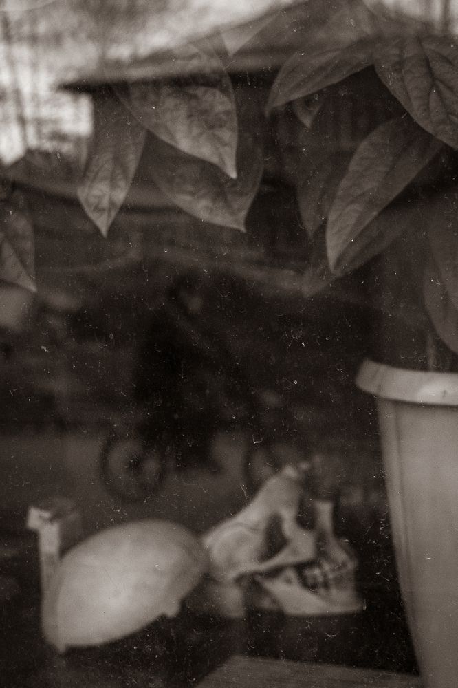 Photograph by Михаил Мостовой