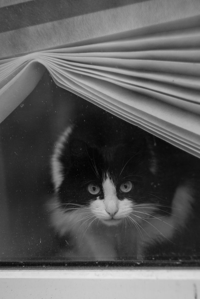 Photograph by Михаил Мостовой