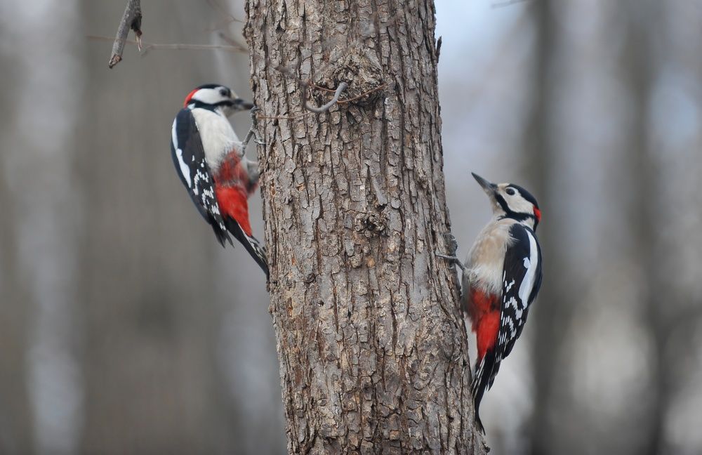 Photograph by Алексей Volg