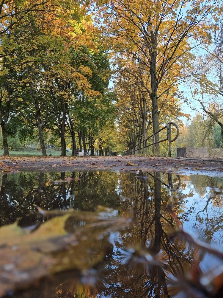 Photograph by Нина Старкова