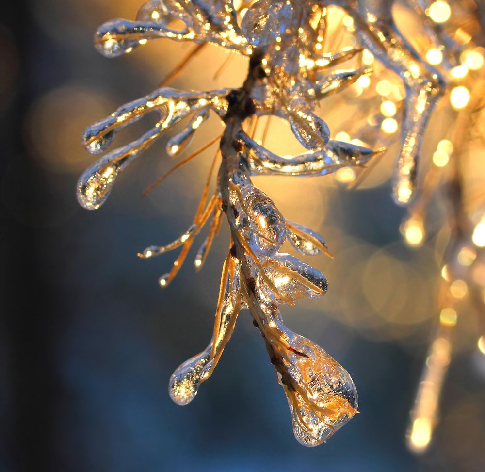 Фотография автора Кухта Мария