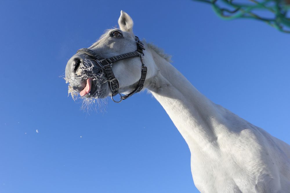Фотография автора Кухта Мария
