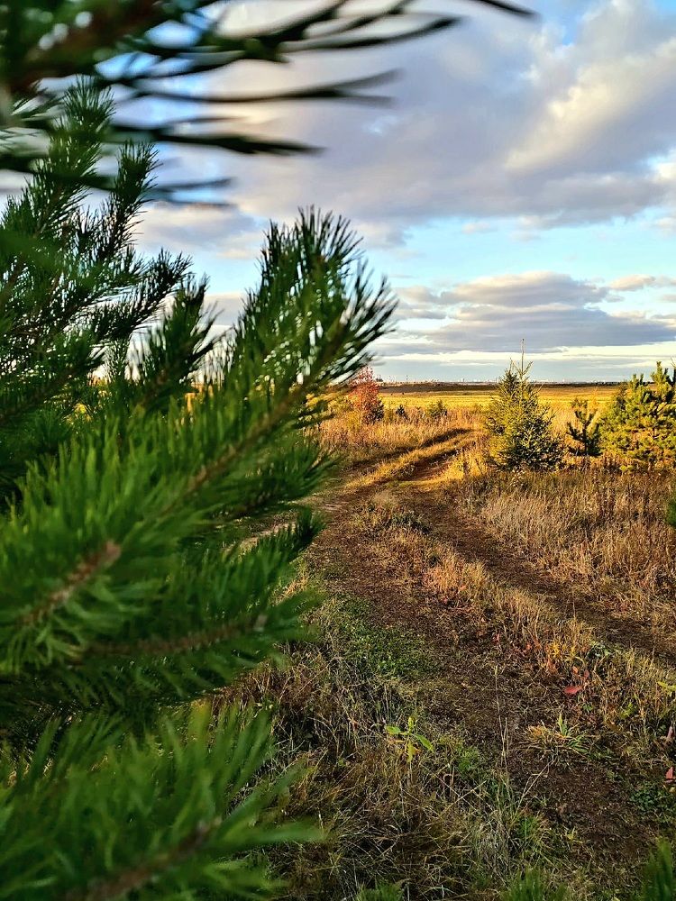 Photograph by Елена Дарьенко