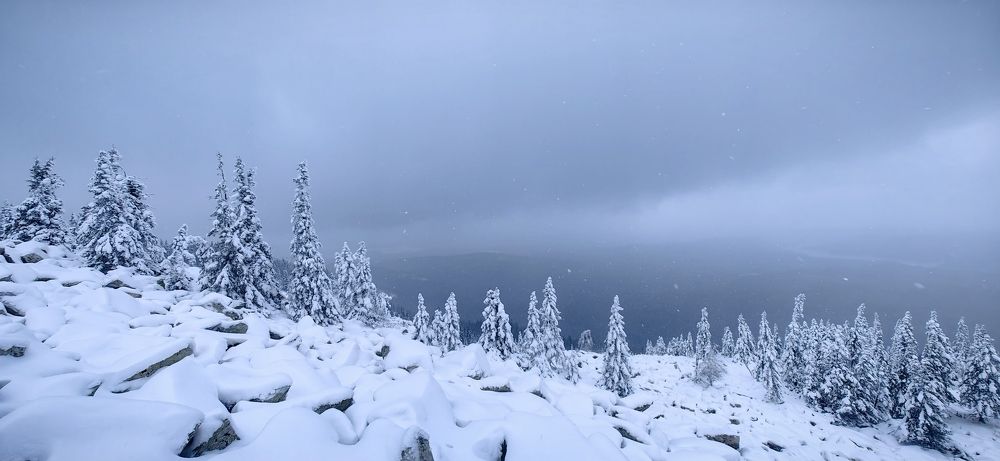 Серая мгла