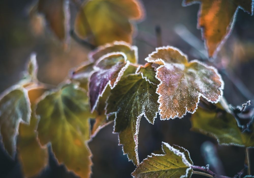 Photograph by Анастасия Арбузова