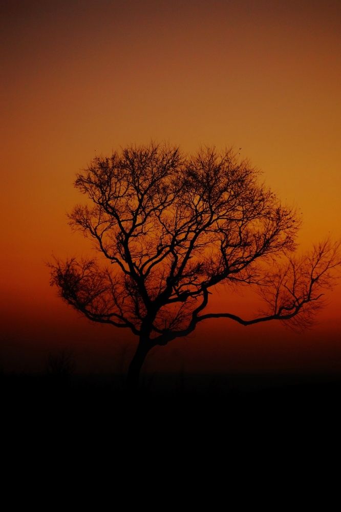 Фотография автора НАТАЛЬЯ СЕВЕР