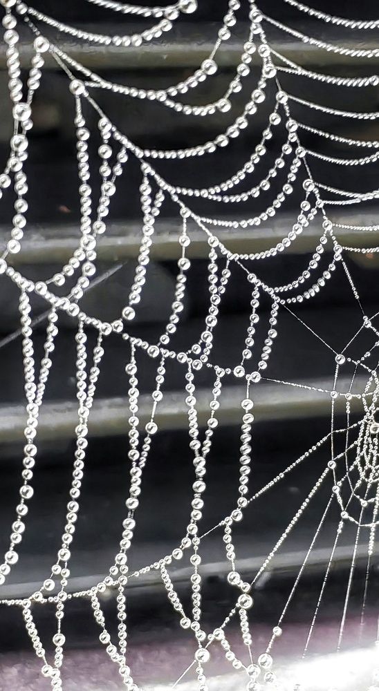 Фотография автора НАТАЛЬЯ СЕВЕР