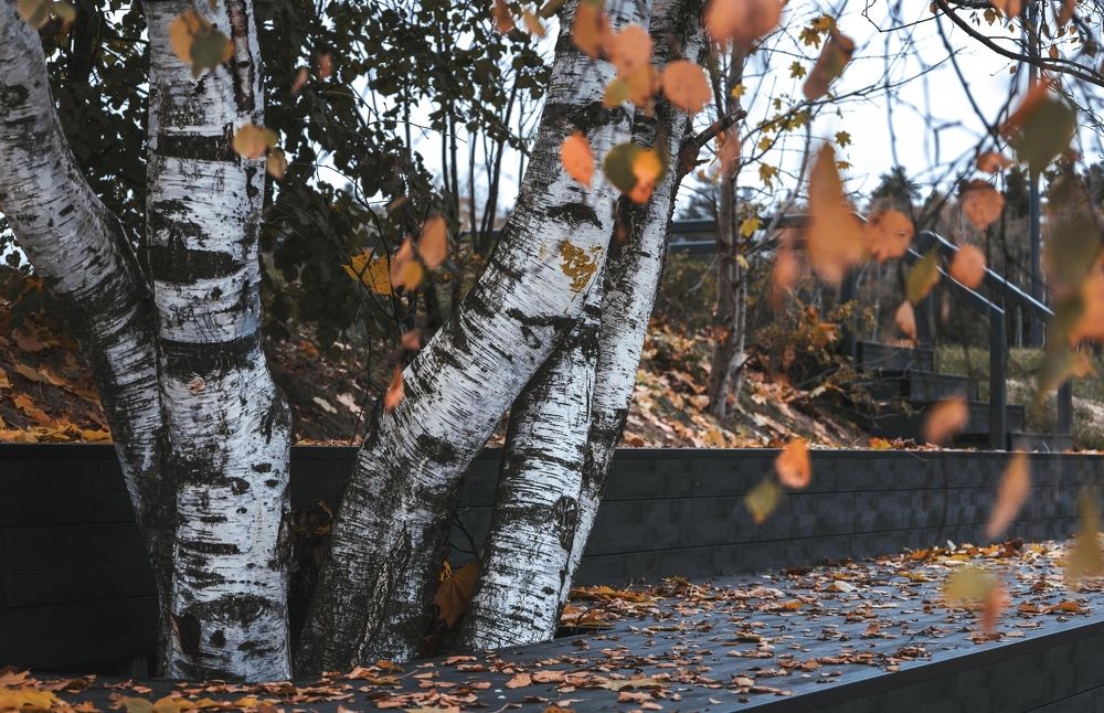 Photograph by Анастасия Арбузова