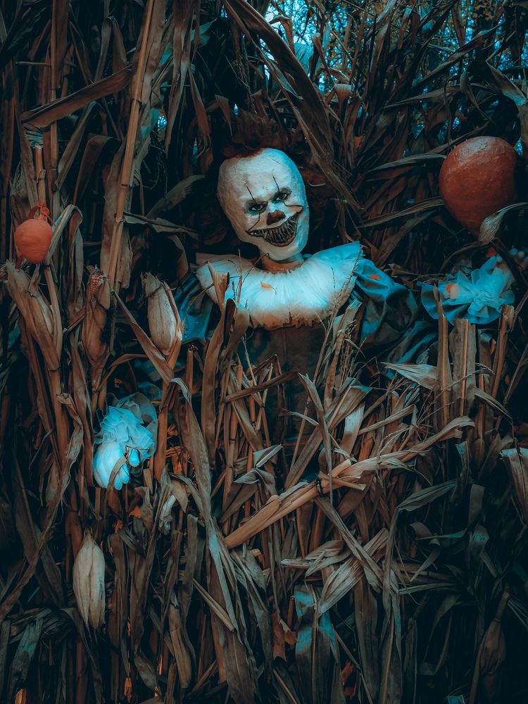 Photograph by Наталия