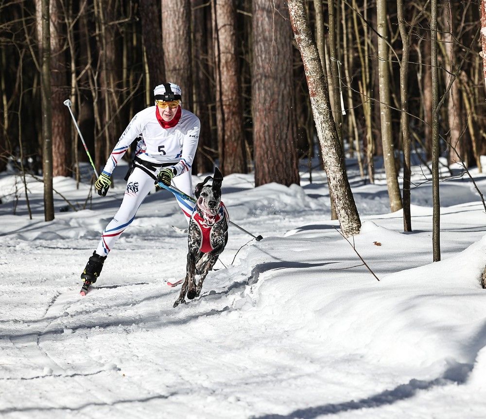 Photograph by Елена Одынец