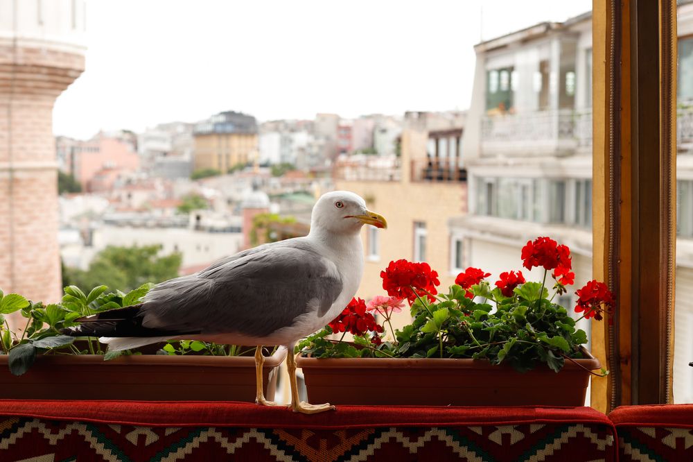 Фотография автора Татьяна Васильева