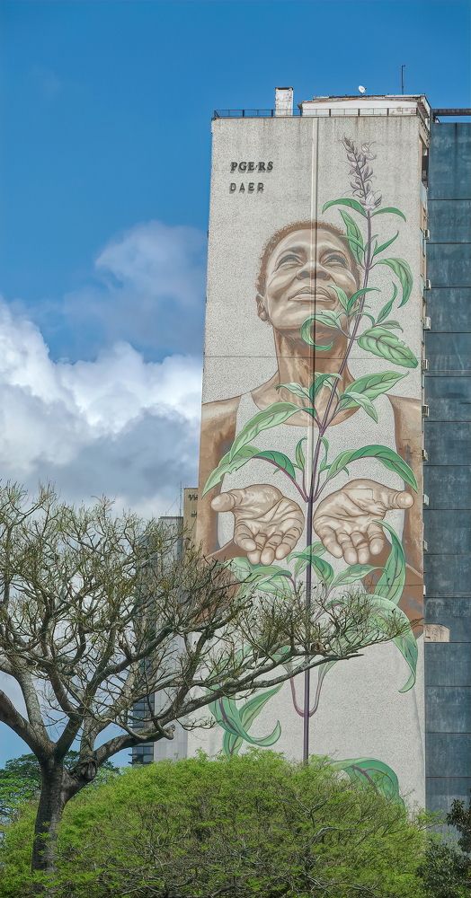 Photograph by Marcelo Luzzi