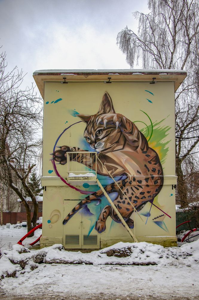 Photograph by Татьяна Ярмак