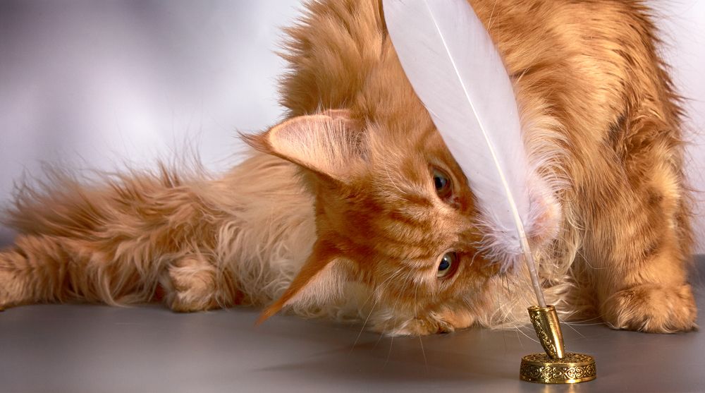 Фотография автора Владимир Борисов