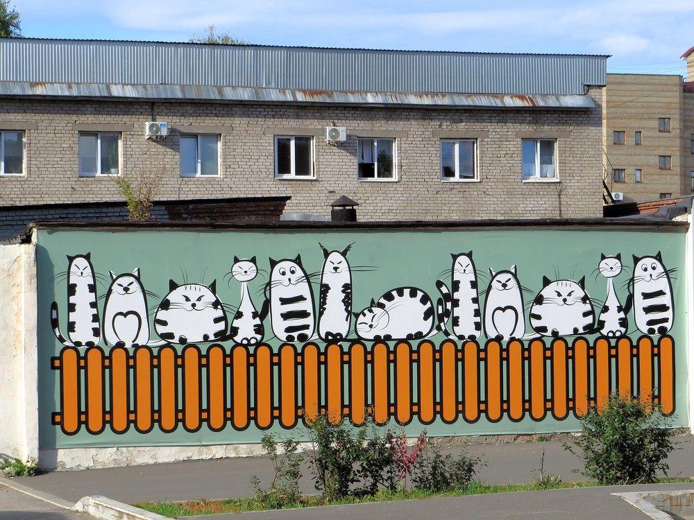 Уличные котики