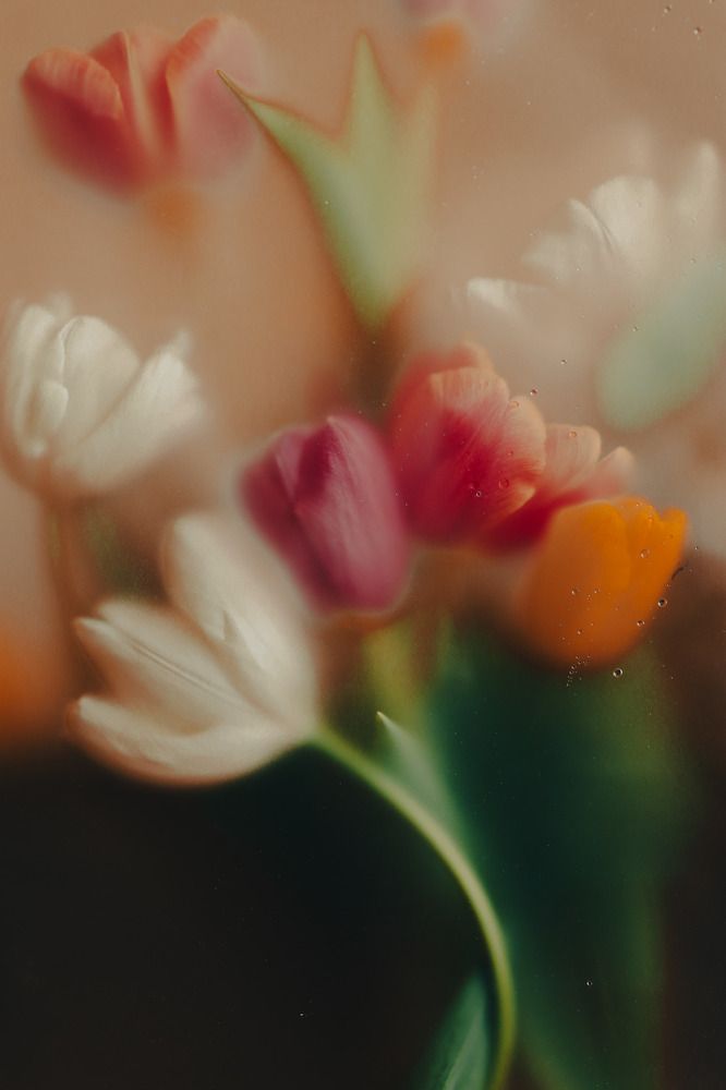 Photograph by Карина Кулиева