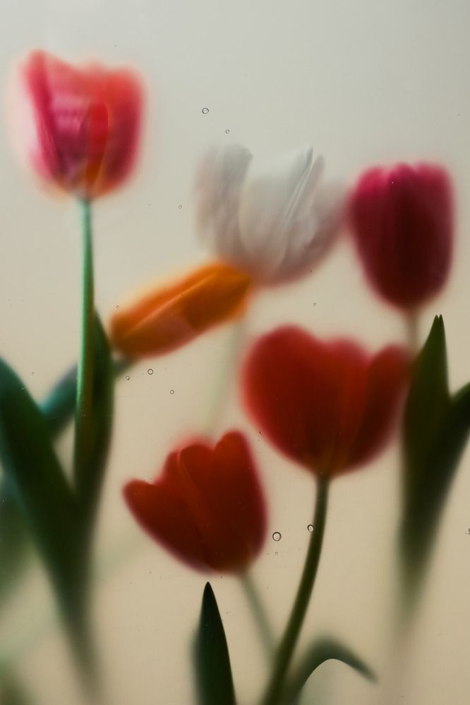 Photograph by Карина Кулиева