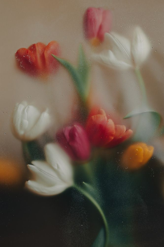 Photograph by Карина Кулиева