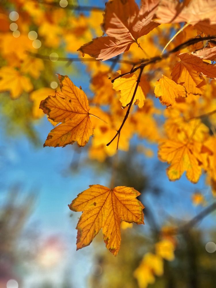 Photograph by Marina Sokolova