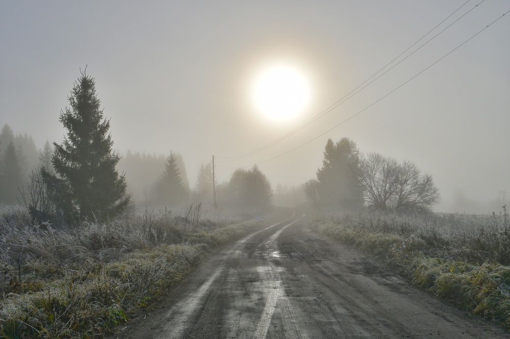 Photograph by Margareth Tikhonova