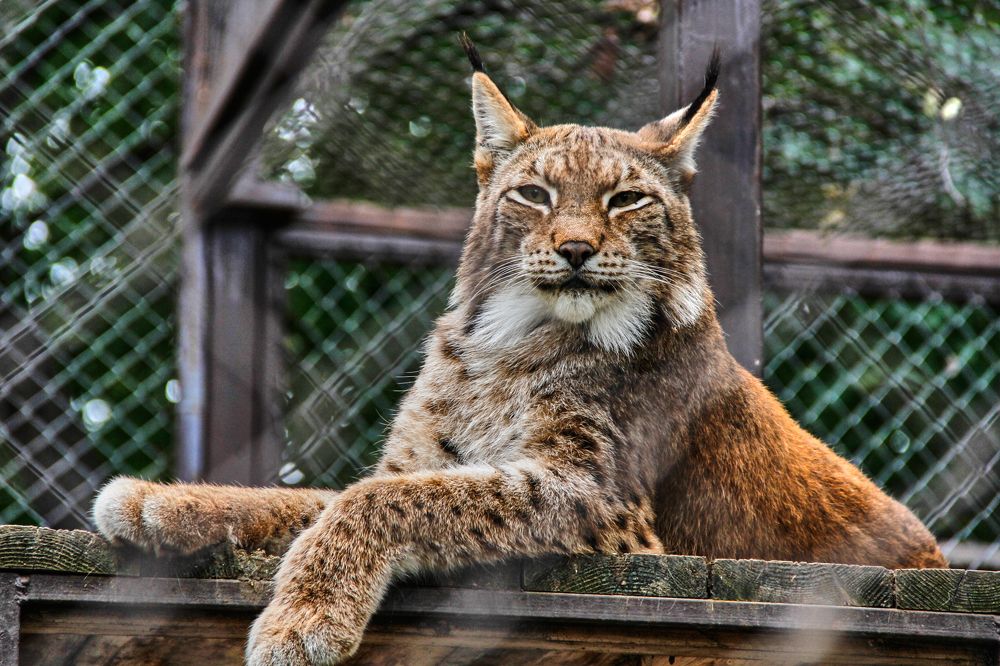 Фотография автора Наталия Мащенко
