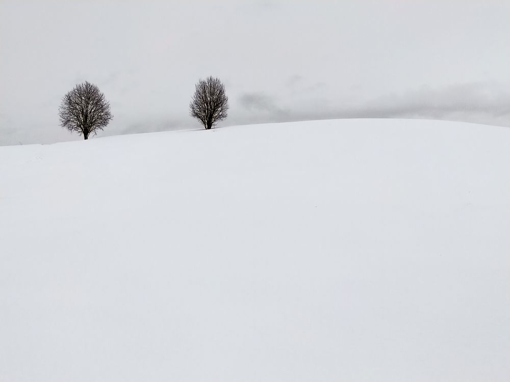 Photo #11286982