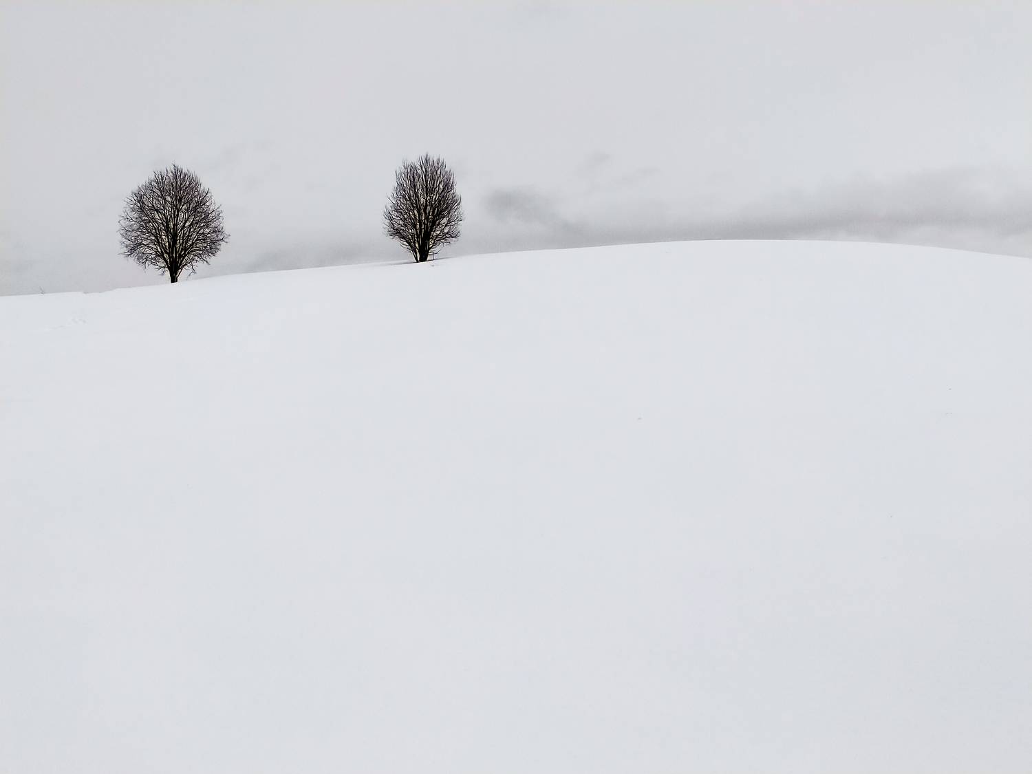 Photo #11286982