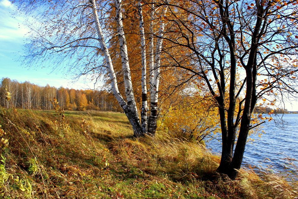 Фотография автора Nelya  Lysenko