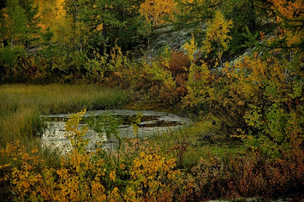 Photograph by Юлия Арестова