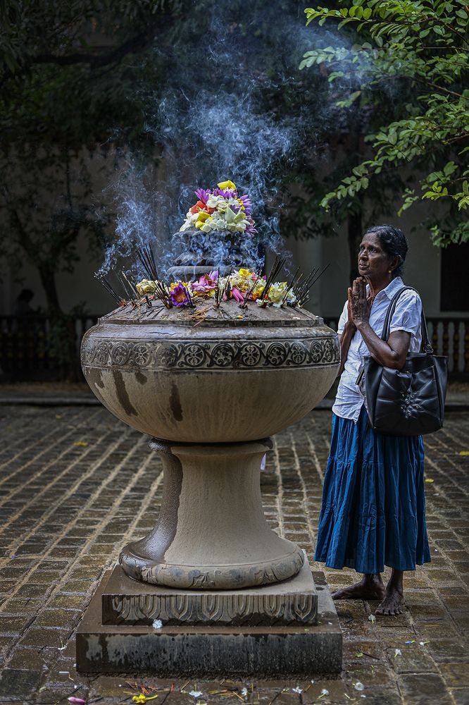 Фотография автора Manjula Perera