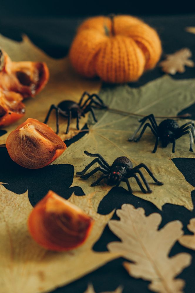 Photograph by Светлана Нестерова