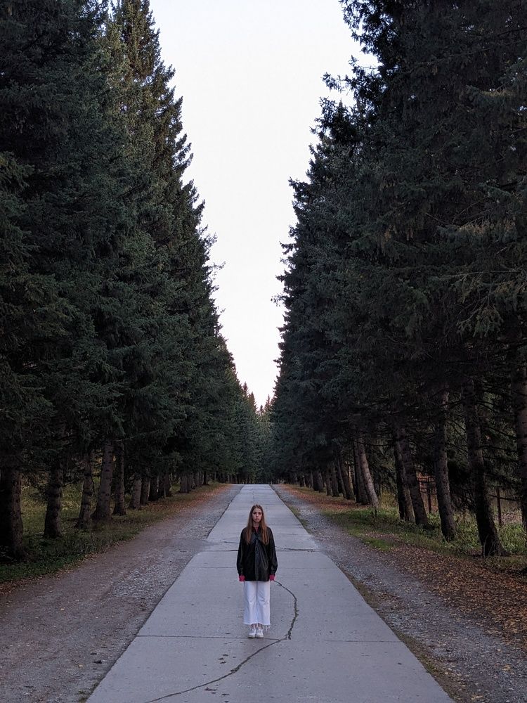 Photo #11287155