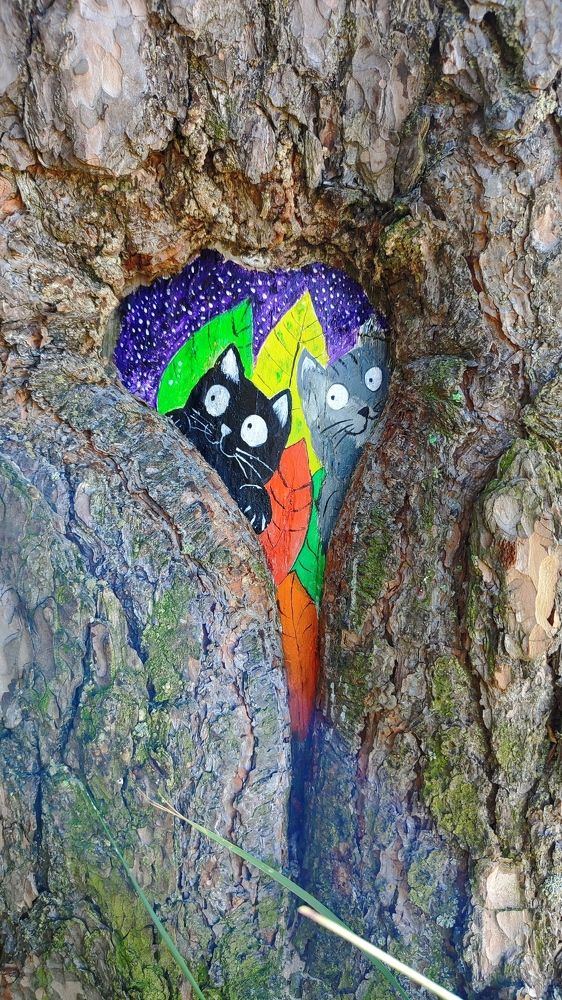 Фотография автора Валерий Жданов