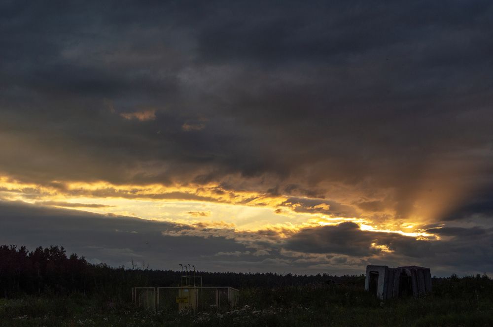 Photograph by Елизавета Зыбина