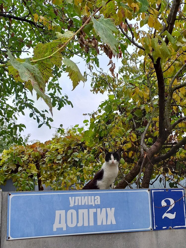 Photograph by Людмила Сотникова