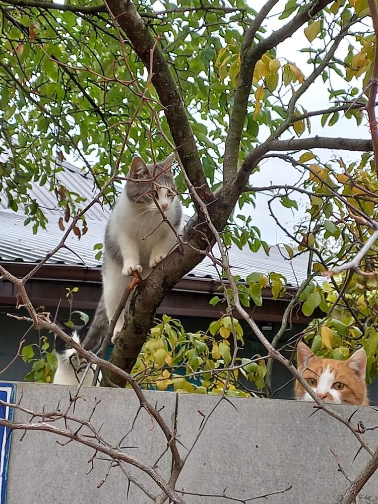 Photograph by Людмила Сотникова