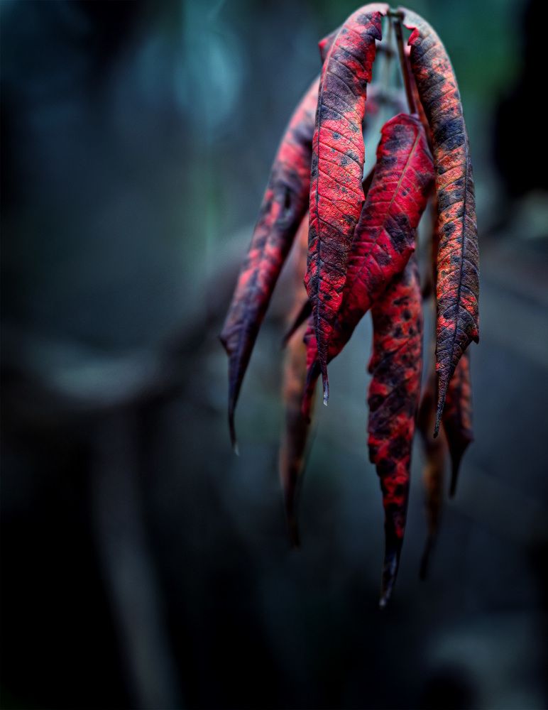 Фотография автора Igor Lukin